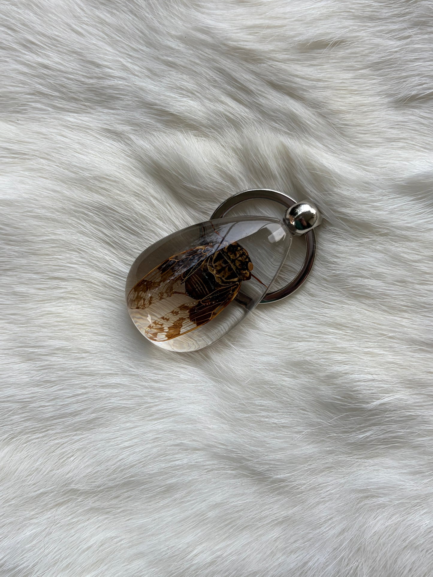 Bug Keychain