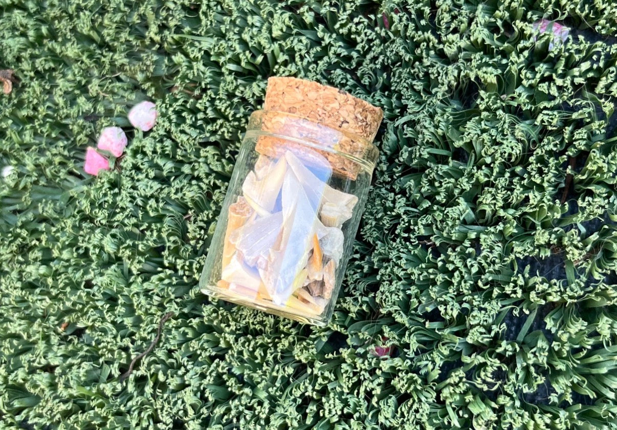 Shark Teeth Jar
