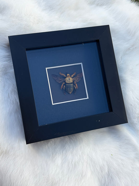 Xylocopa Golden