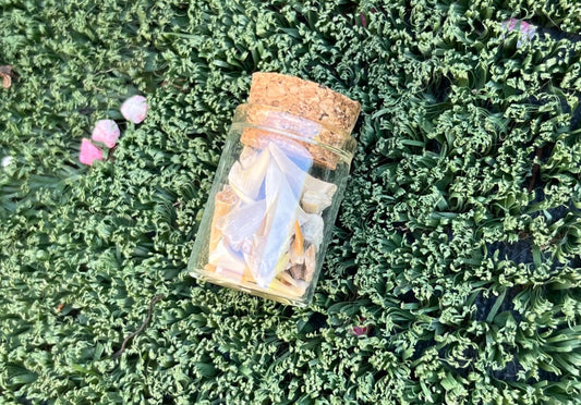 Shark Teeth Jar