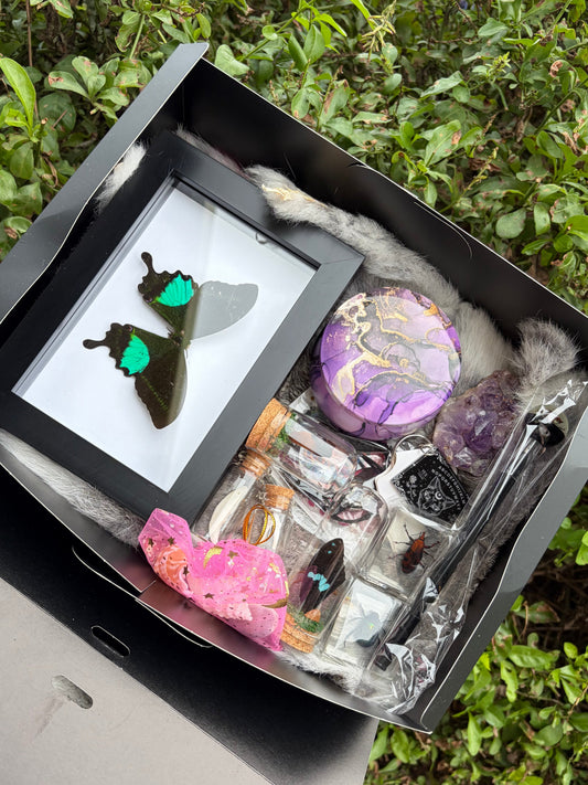Mystery Oddities Box