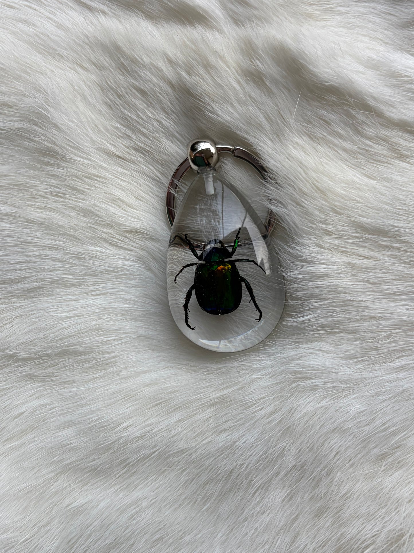 Bug Keychain