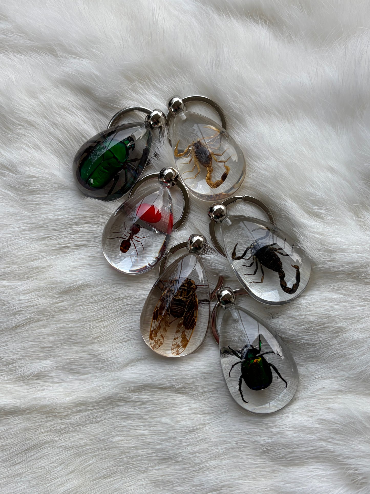 Bug Keychain