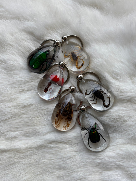 Bug Keychain
