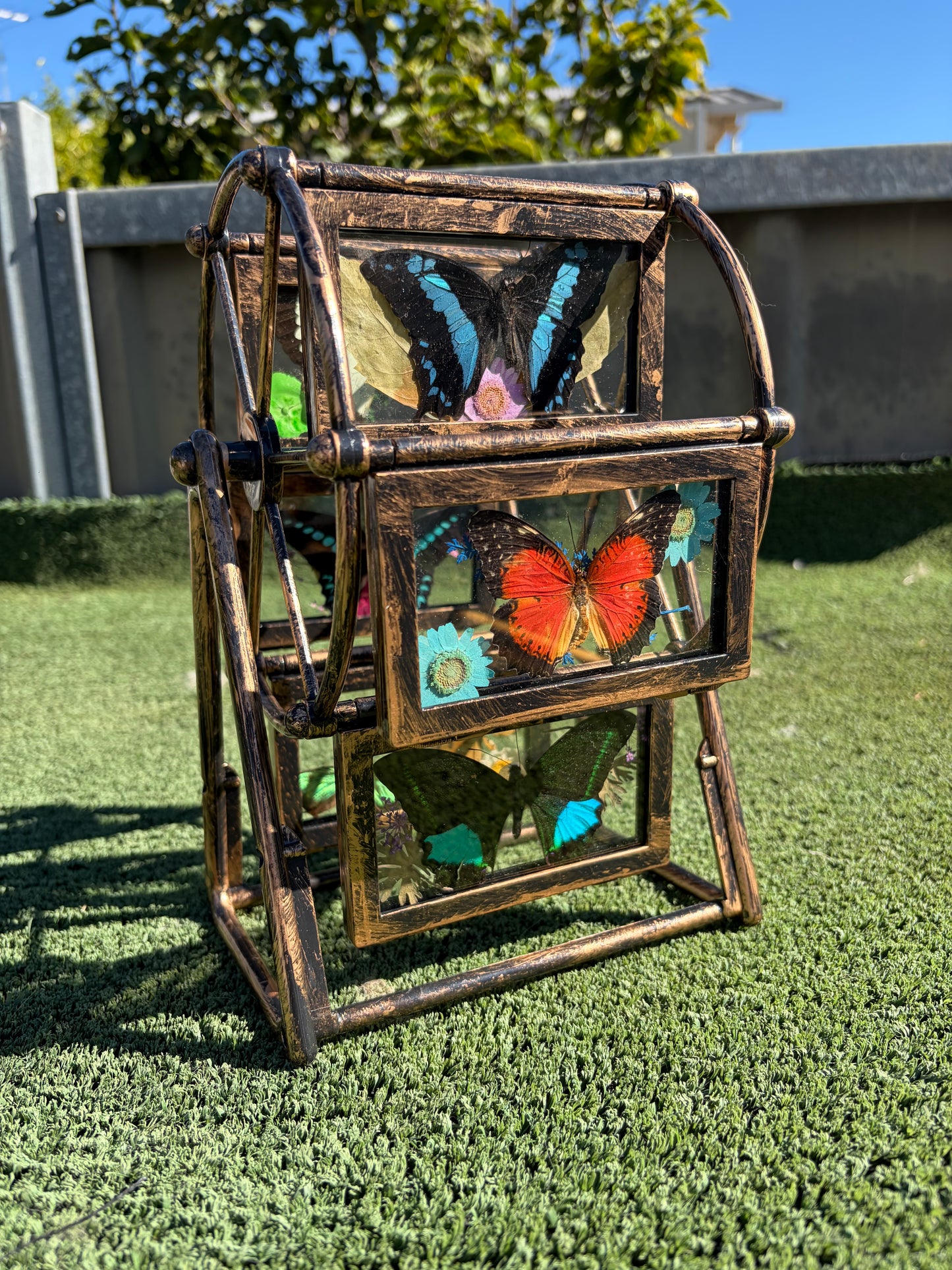 Butterfly Ferris Wheel