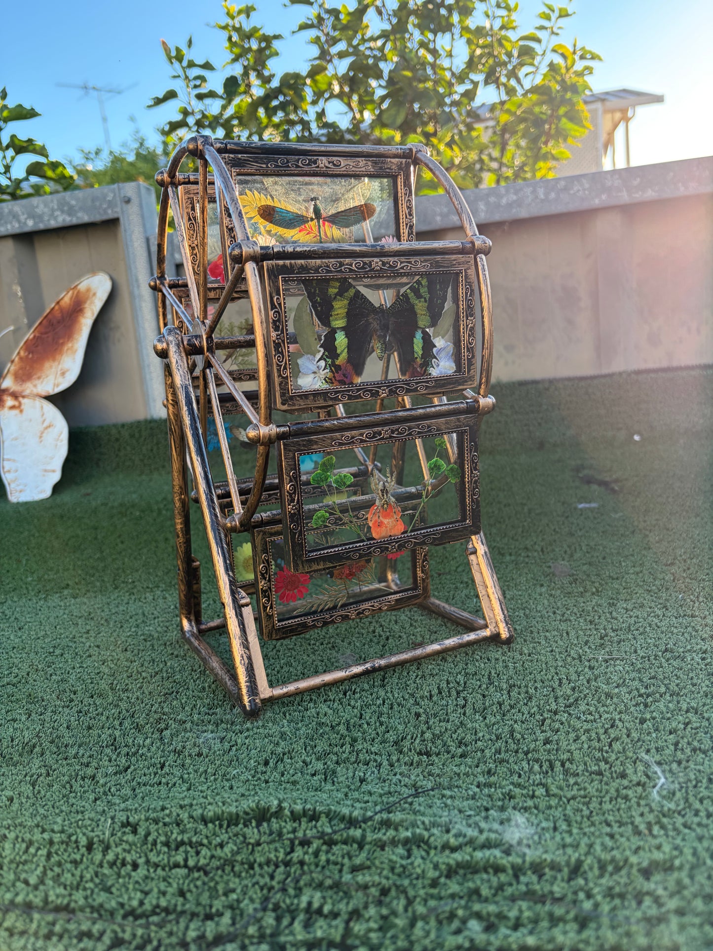 Butterfly Ferris Wheel