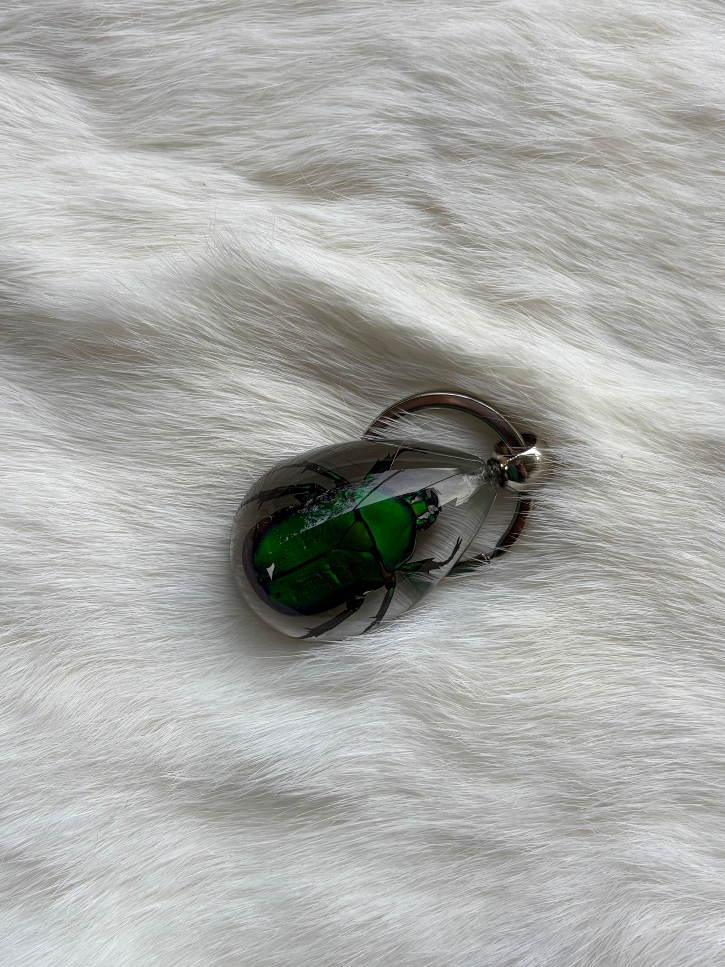 Bug Keychain