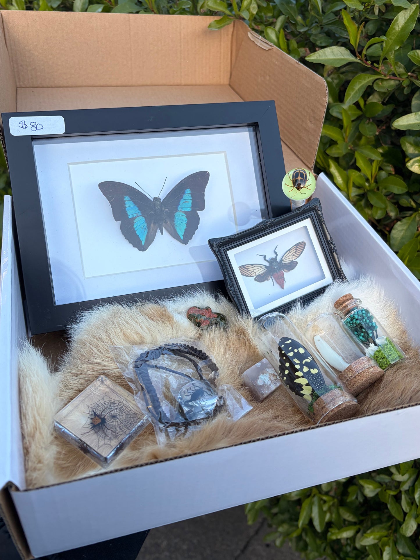 Mystery Oddities Box (Double value!)