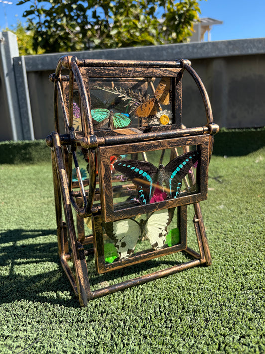 Butterfly Ferris Wheel
