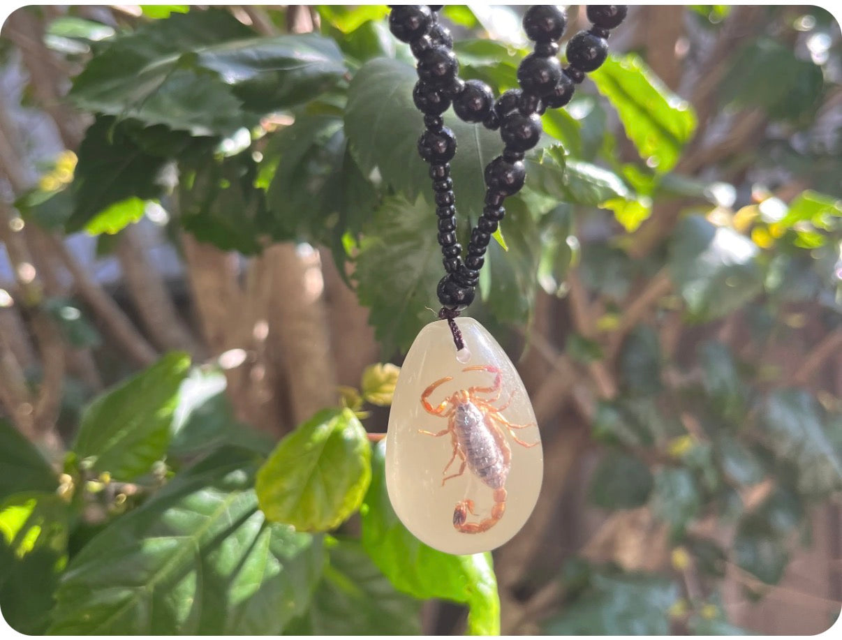 Scorpion Necklace