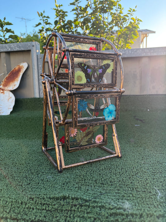 Butterfly Ferris Wheel
