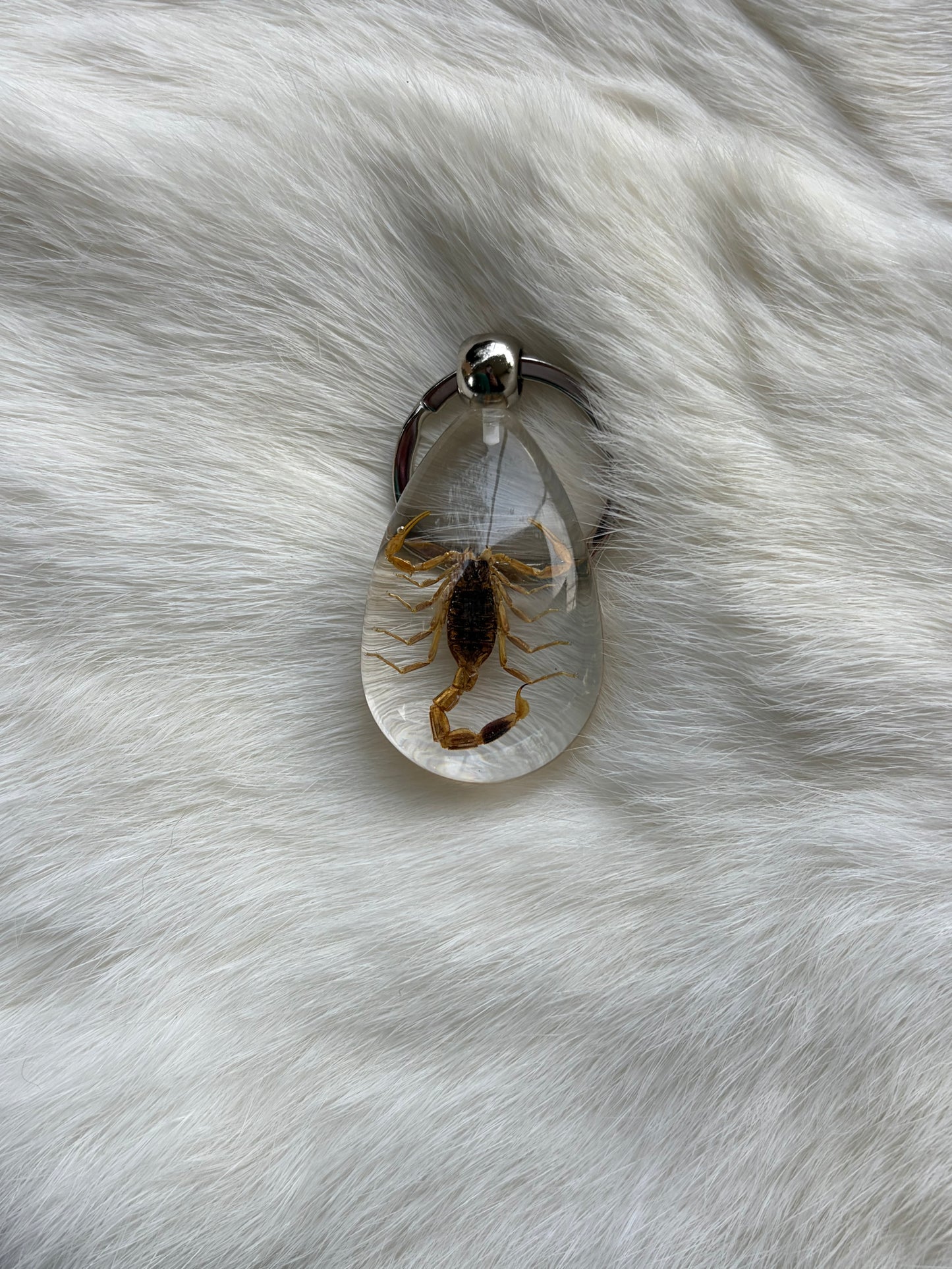 Bug Keychain
