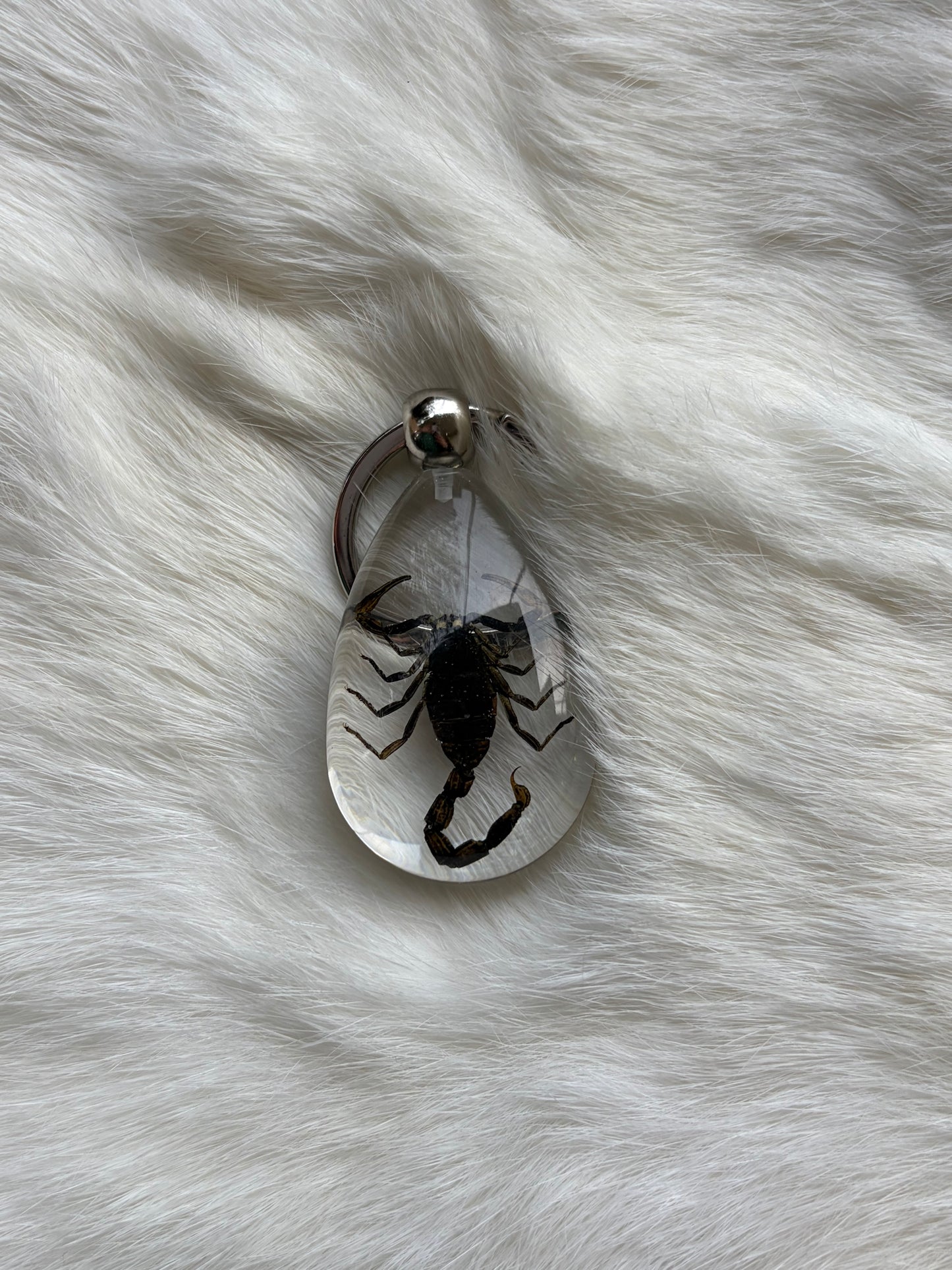 Bug Keychain