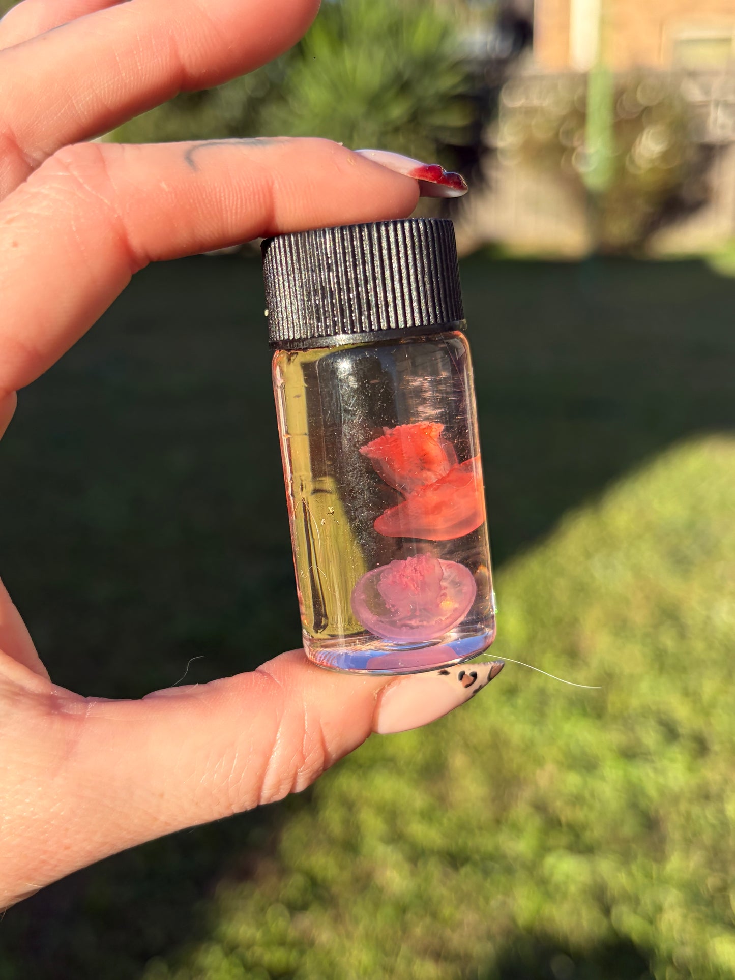 Diaphonised Jellyfish